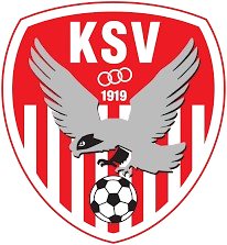 Teamsportakademie Kapfenberg
