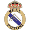 Real Potosi Reserves