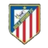 Bola Gotong FC