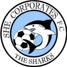 She Corporate Women