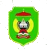 Palopo United