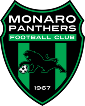 Monaro Panthers (w)