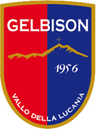 Gelbison U19