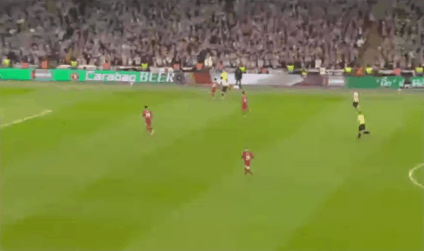 Highlight 98'