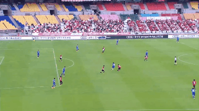 Highlight 50'