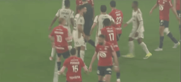 Highlight 50'