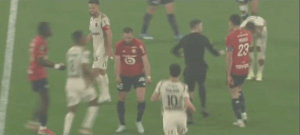 Highlight 50'