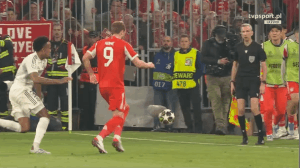 Highlight 40'