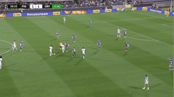 Highlight 40'