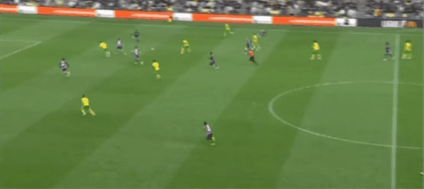 Highlight 50'