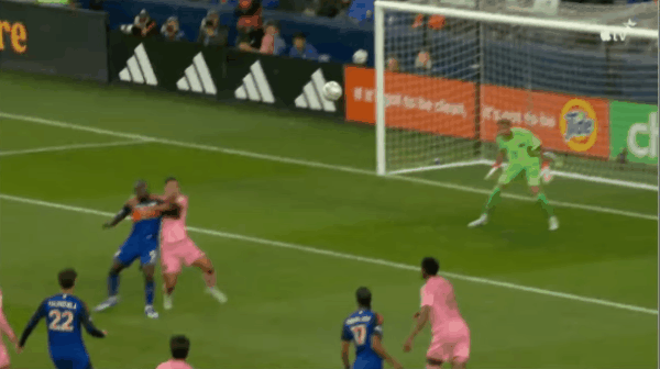 Highlight 40'