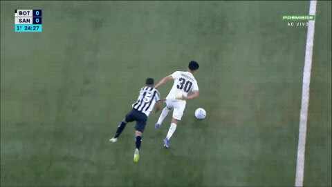 Highlight Botafogo - RJ vs Santos Fc - SP