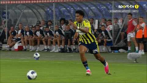Highlight 41'