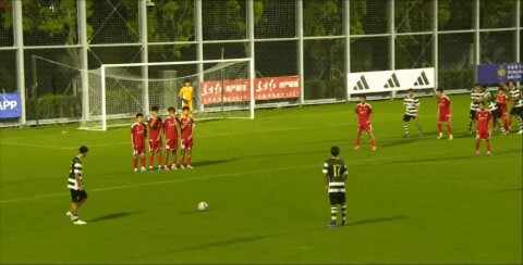 Highlight 49'