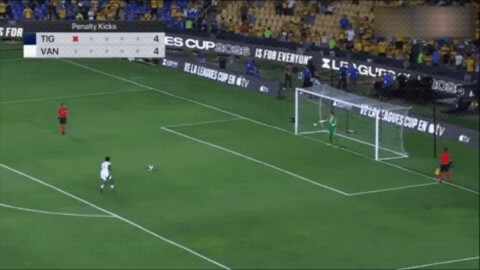 Highlight 100'