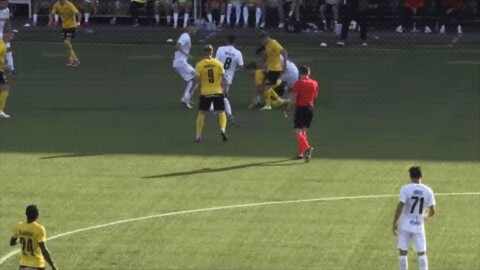 Highlight 44'