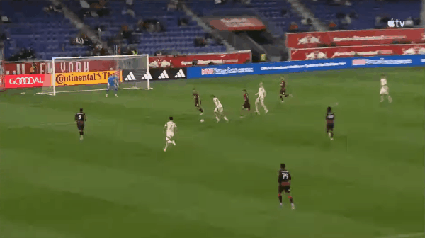 Highlight 50'