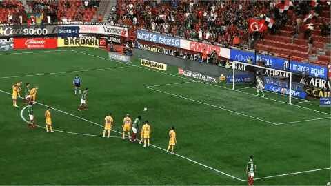 Highlight 95'