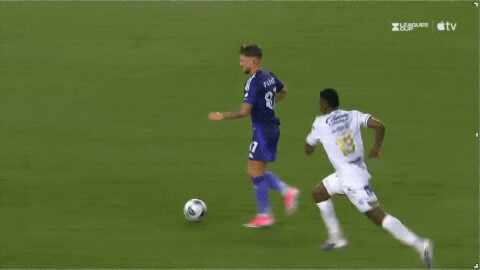 Highlight 40'