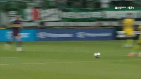 Highlight 4'