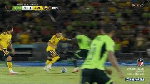 Highlight 41'