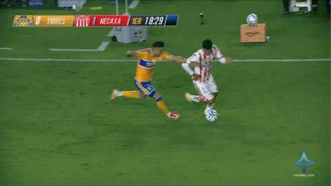 Highlight 19'