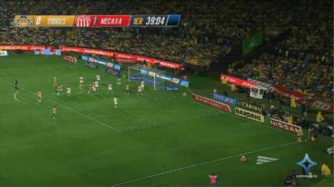 Highlight 40'