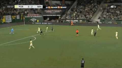 Highlight 50'