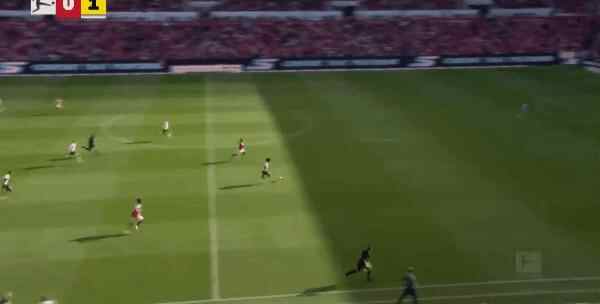 Highlight 40'