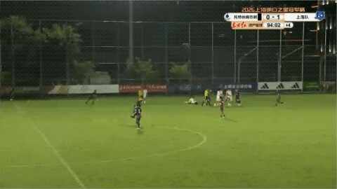 Highlight 95'