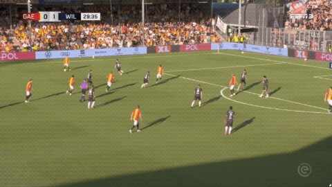 Highlight 30'
