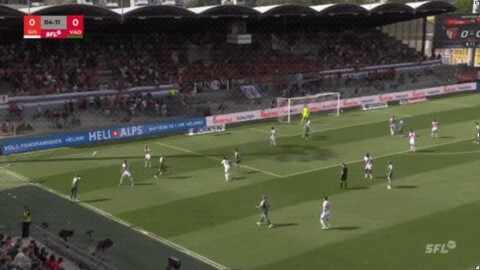 Highlight 5'
