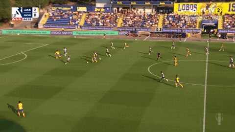 Highlight 46'