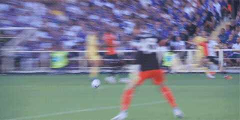 Highlight 8'