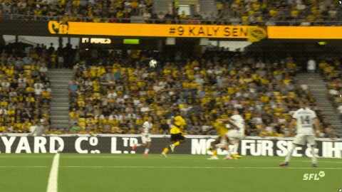 Highlight 90'