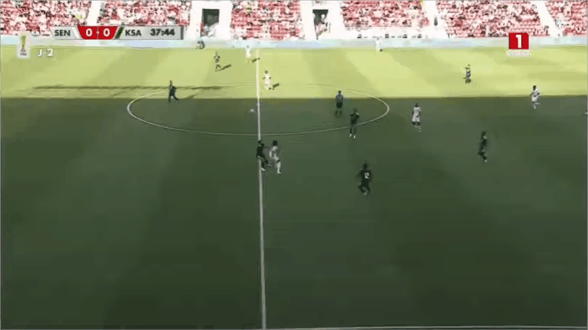 Highlight 40'