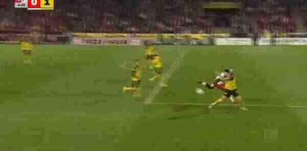 Highlight 50'