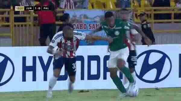 Highlight 14'