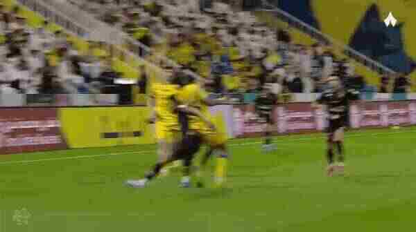 Highlight 50'