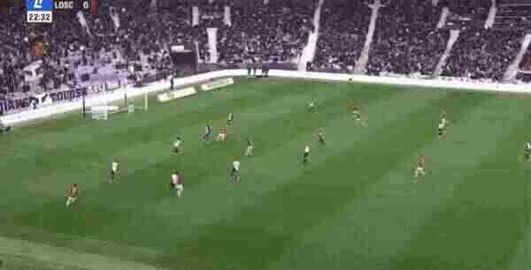 Highlight 50'