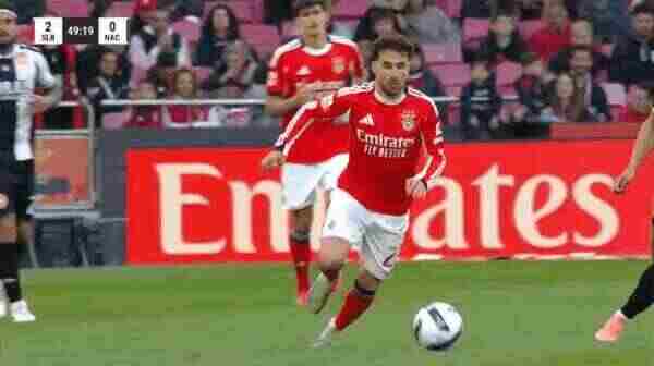 Highlight 50'