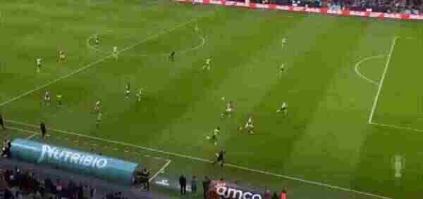 Highlight 95'