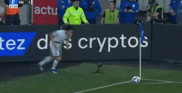Highlight 52'