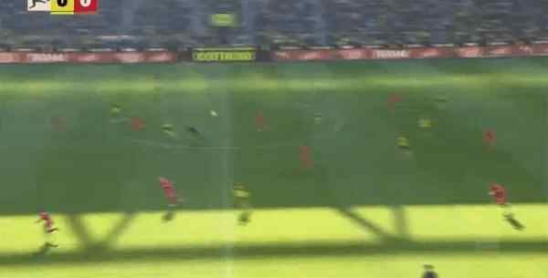 Highlight 8'