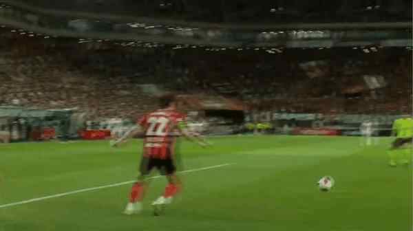 Highlight 50'