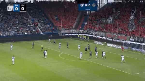 Highlight 50'