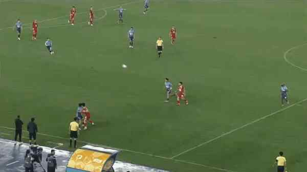 Highlight 95'