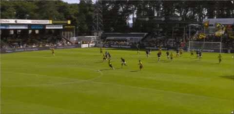 Highlight 88'