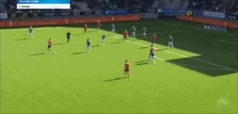 Highlight 96'