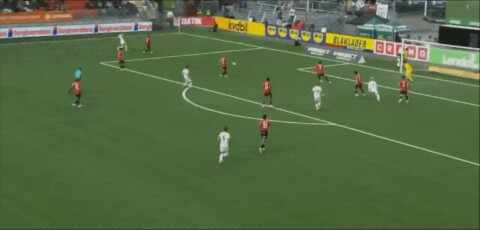 Highlight 40'